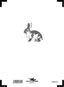 Front target Rabbit /5m