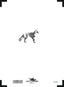 Front target Fox/5m