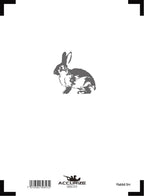 Front target Rabbit /5m