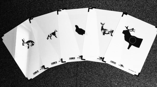 Front target Rabbit /5m
